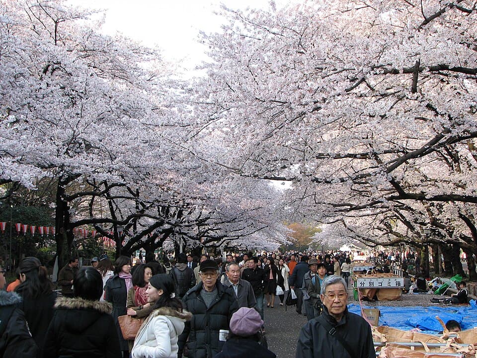 Le parc d'Ueno