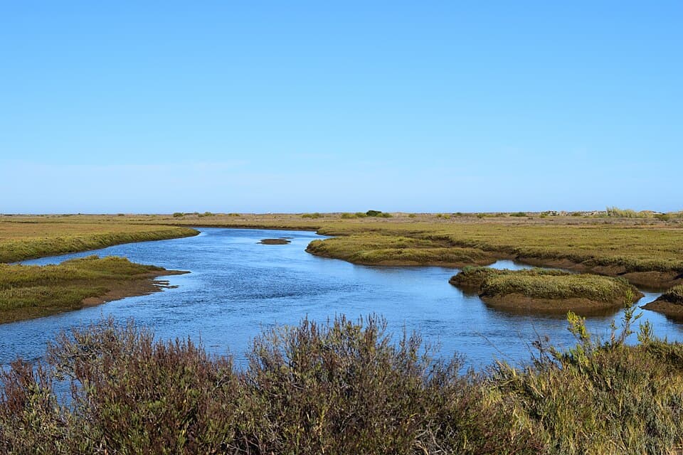 La Ria Formosa